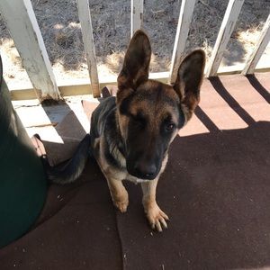 Meet your Posher, Marco